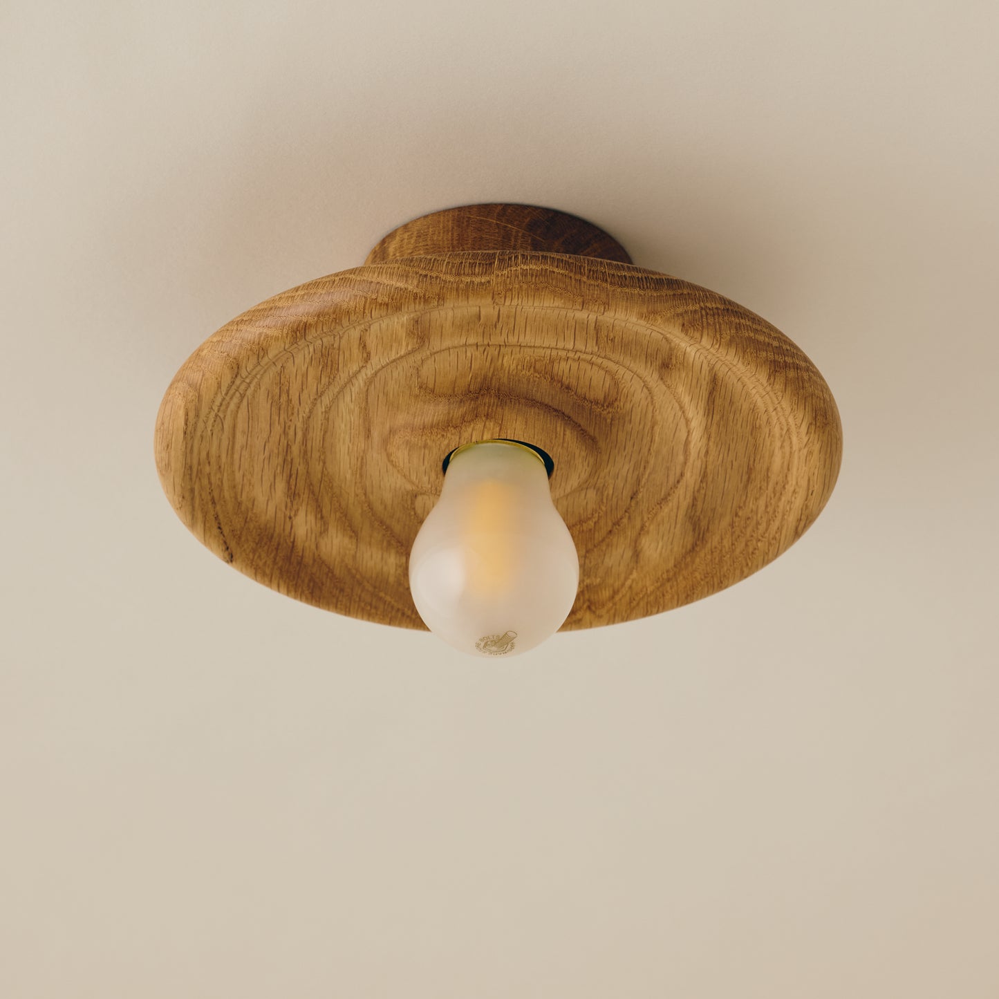 Mounted Ceiling Lamp (small) Type D