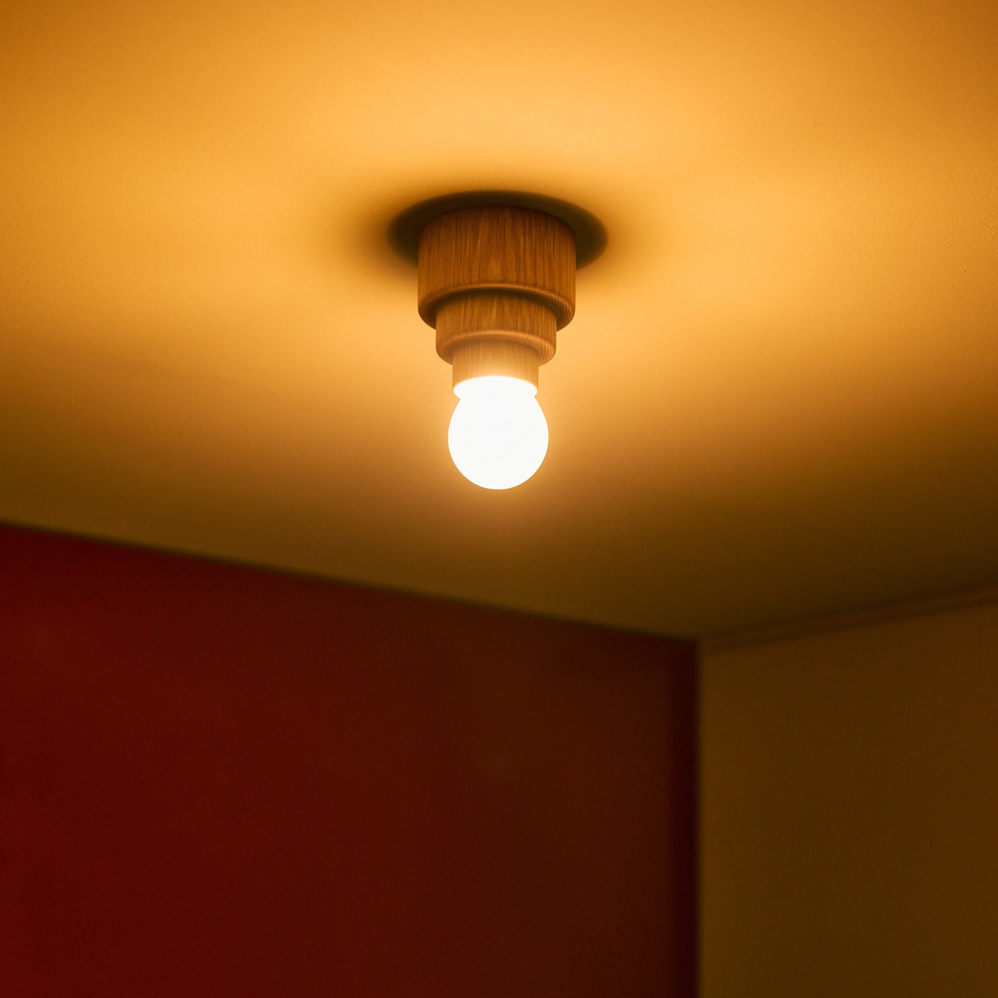 Mounted Ceiling Lamp (small) Type C