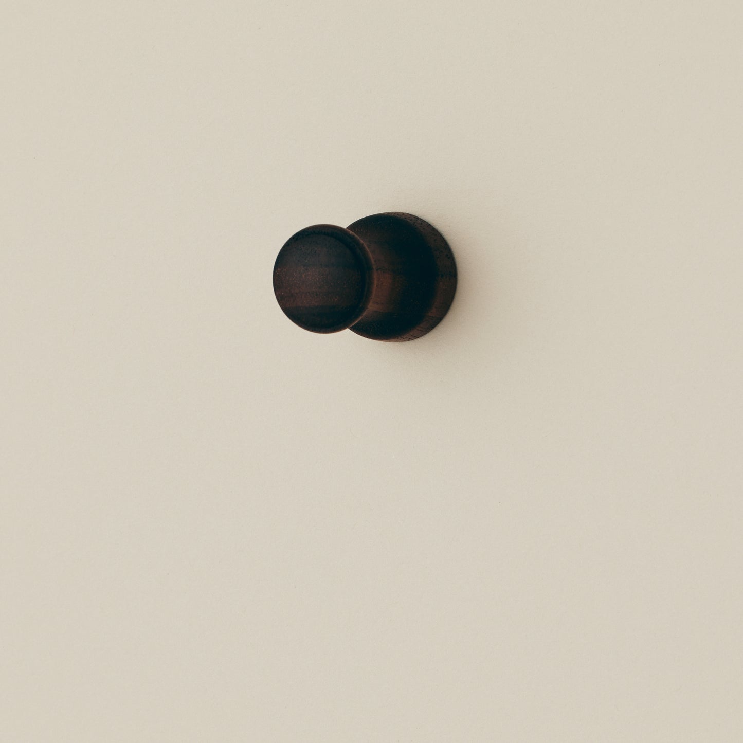 Hanging Shoehorn