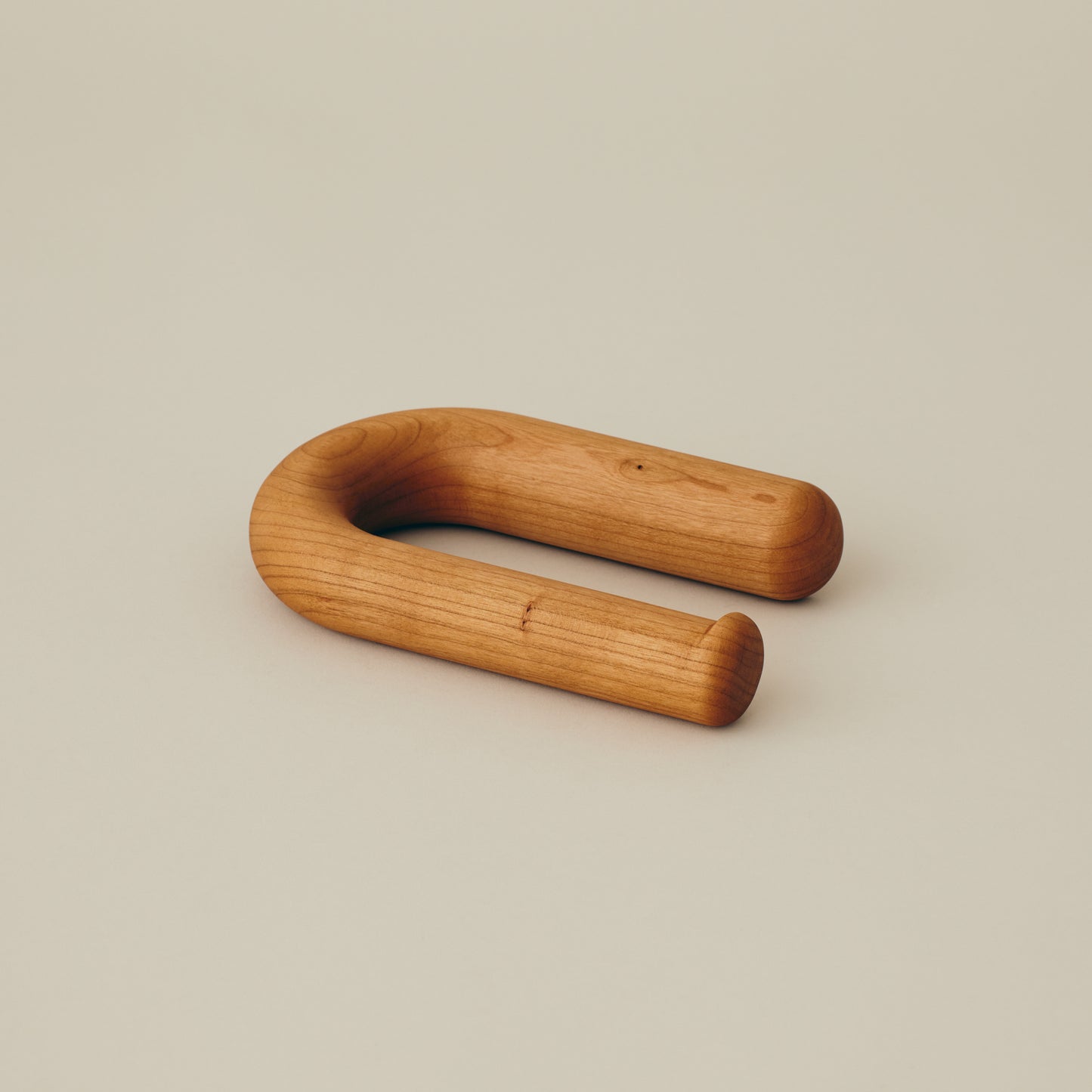 Toilet Paper Holder (Wall Mounted)