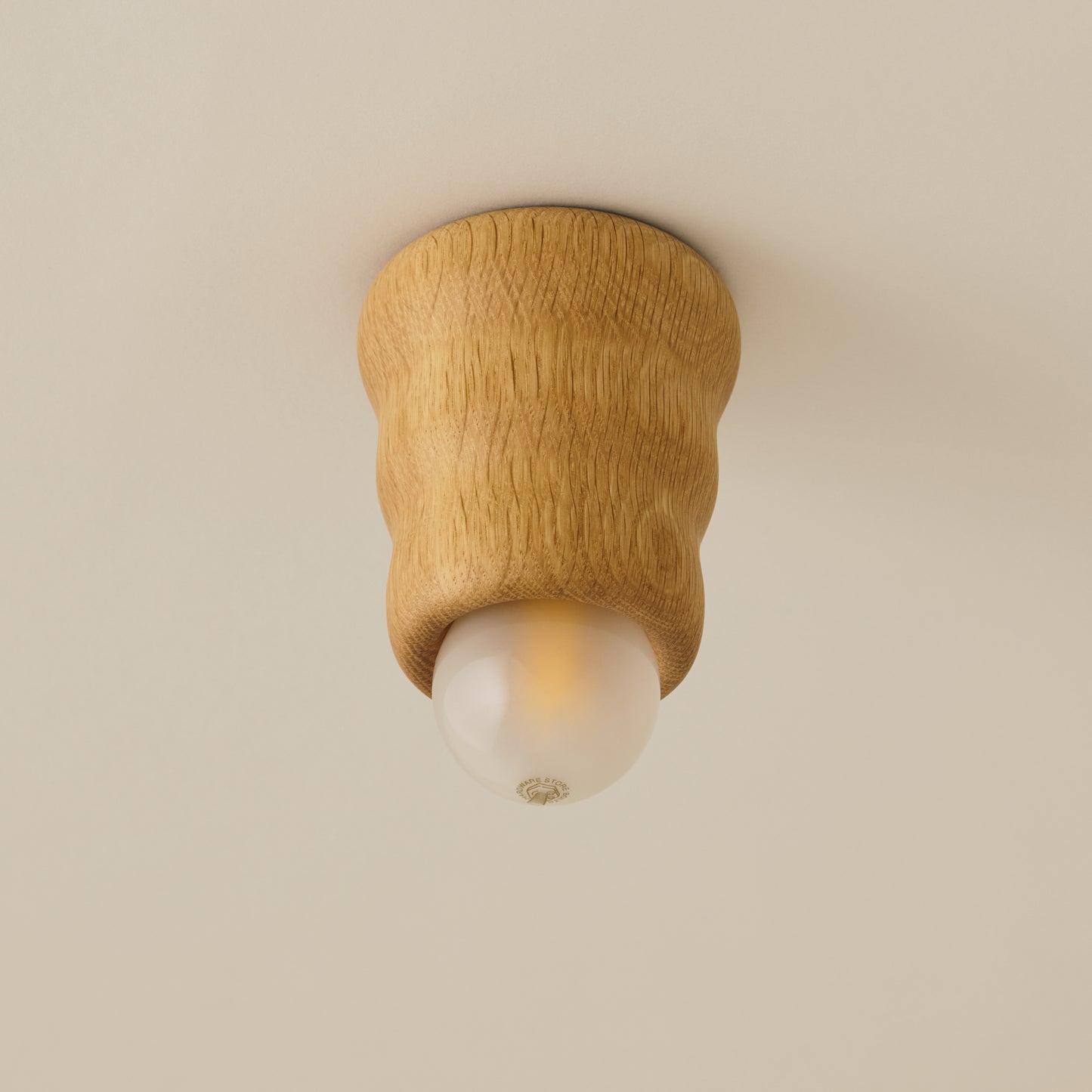 Mounted Ceiling Lamp (small)　Type A