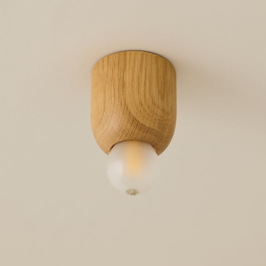 Mounted Ceiling Lamp (small)　Type B