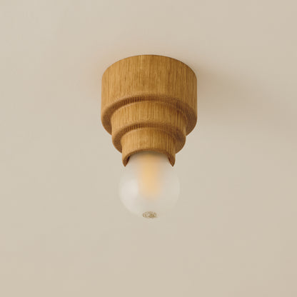 Mounted Ceiling Lamp (small)　Type C