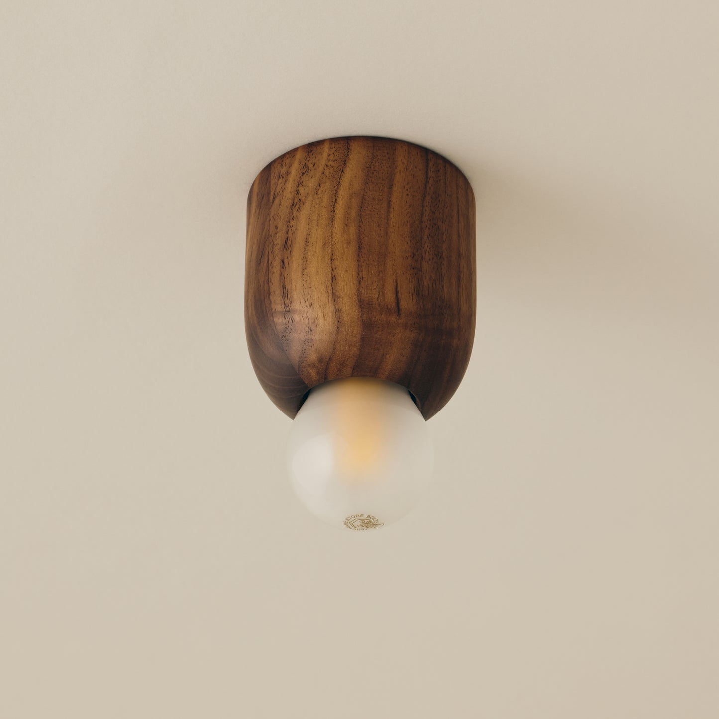 Mounted Ceiling Lamp (small)　Type B