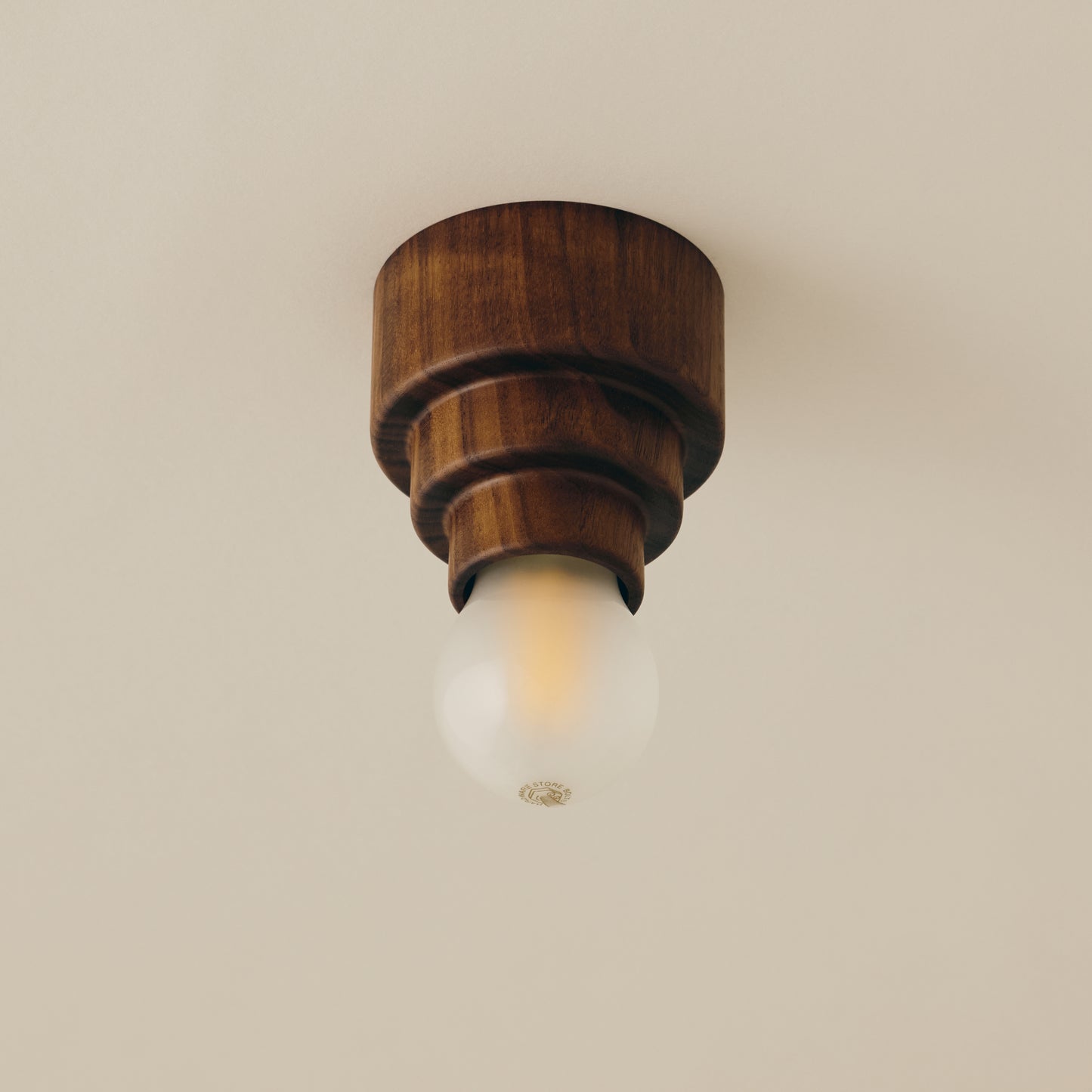 Mounted Ceiling Lamp (small)　Type C