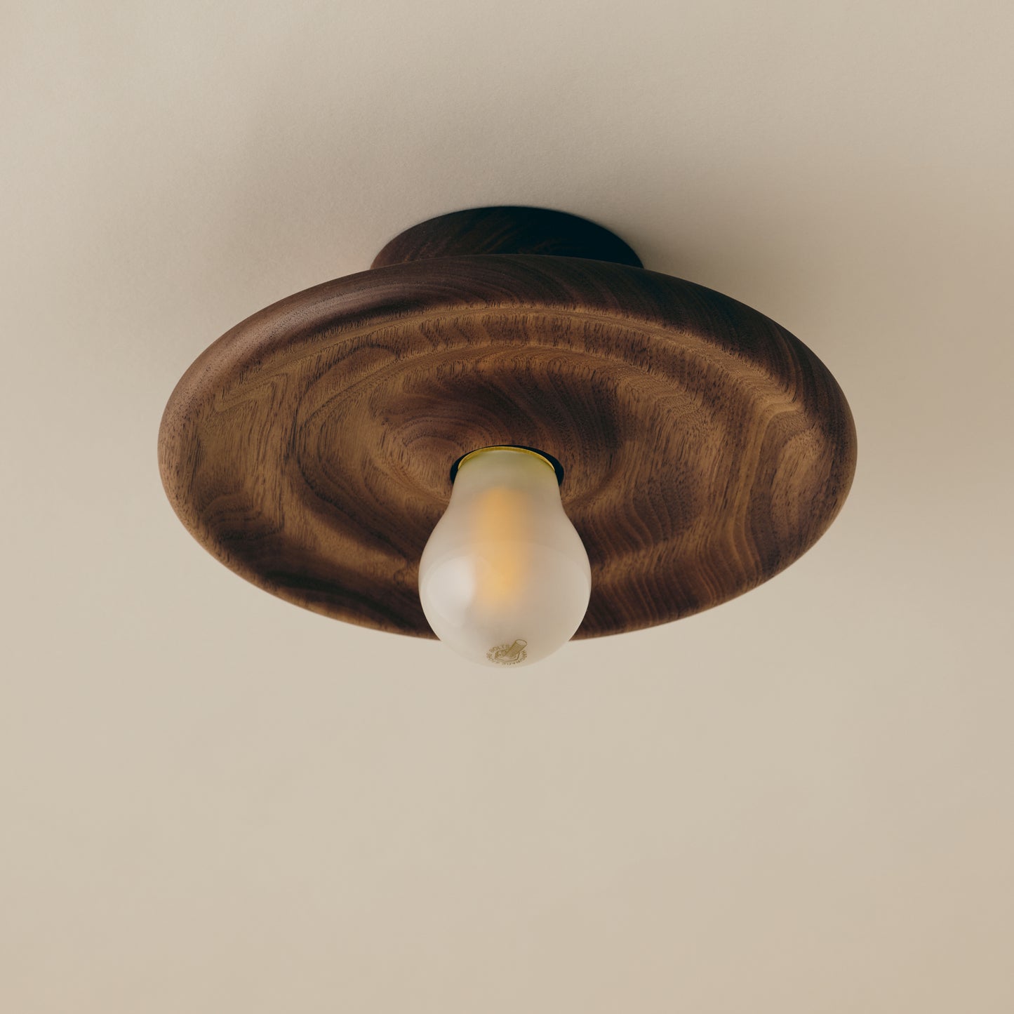 Mounted Ceiling Lamp (small)　Type D