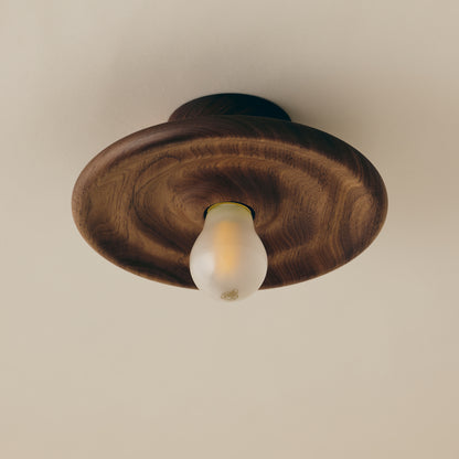 Mounted Ceiling Lamp (small)　Type D