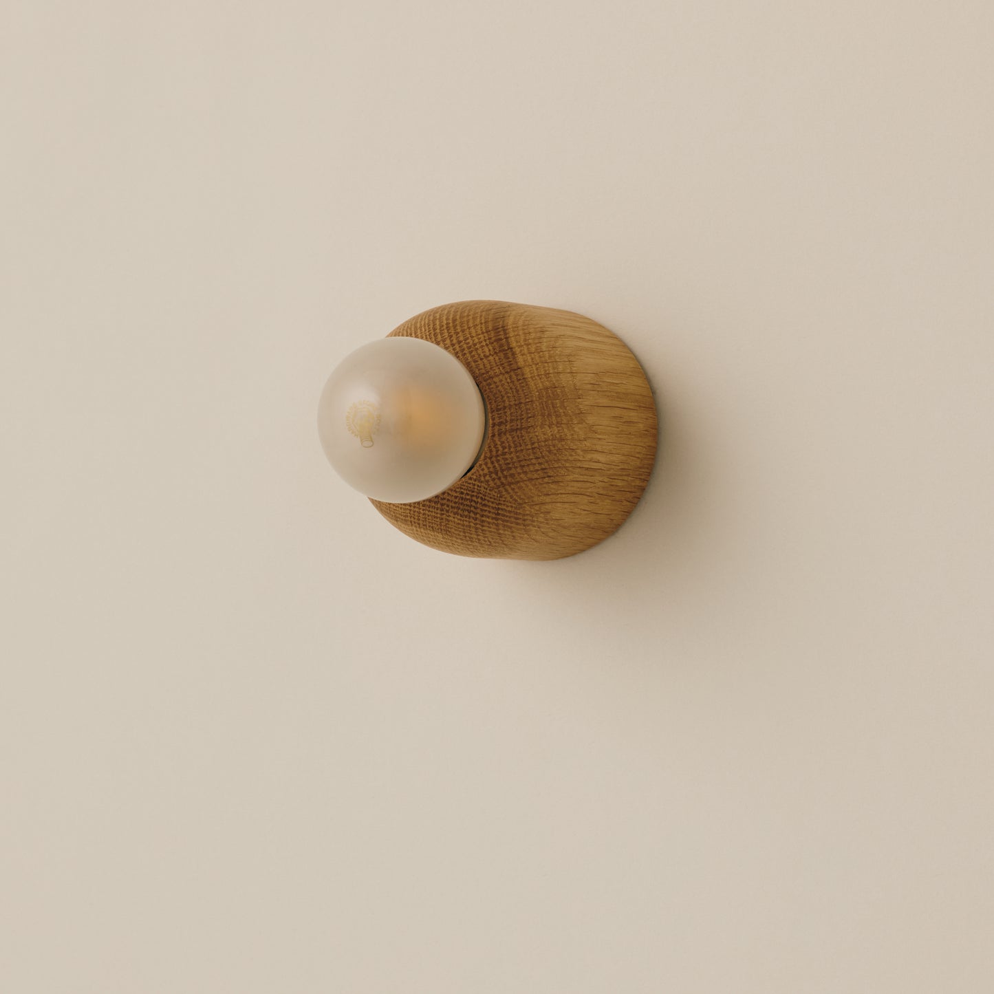 Mounted Ceiling Lamp (small)　Type B